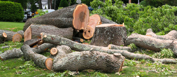 Lawn Grading and Leveling in Independence, OH